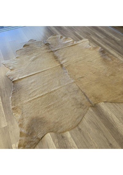 Hoom Rugs Dana Derisi P09 3,45m2