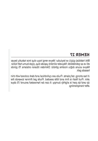 Yöresel Kemer Patlıcan Tohumu, 100 Adet Paket