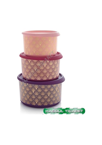Tupperware Tek Parmak Parıltı Set Buzdolabı Saklama Kabı Hsgl