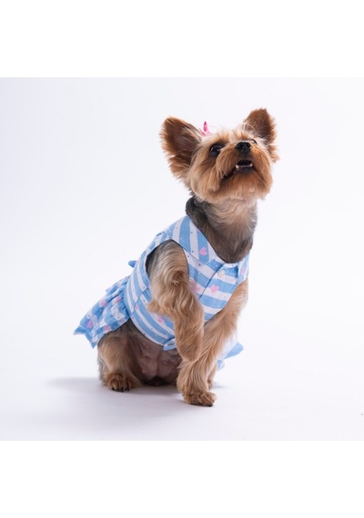 Ocean Love Kalp Desenli Kedi Köpek Elbisesi - Kedi Köpek Kıyafeti