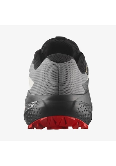 Salomon L47975200 Alphaglide Gore-tex Erkek Koşu Ayakkabısı Renkli