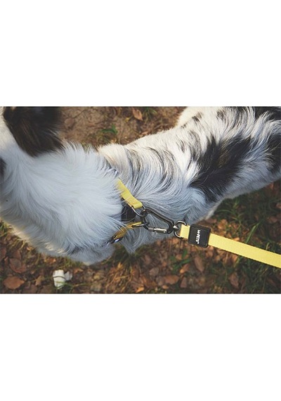 M-pets Wild Safari Köpek Gezdirme Kayışı Sarı Small-medium 1x120 Cm 244-58032.01 Renkli