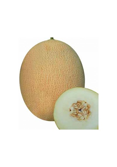 Ananas Kavun Tohumu 15 Tohum +