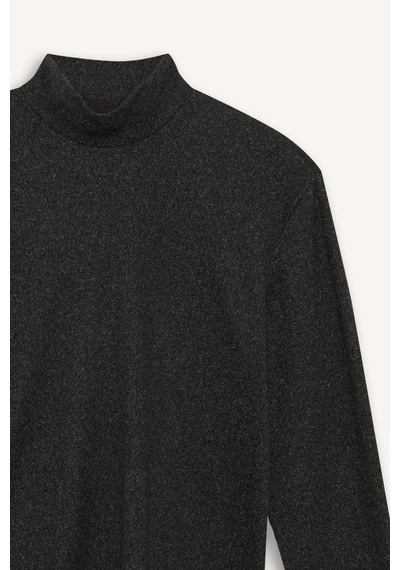 Defacto Regular Fit Yarım Balıkçı Yaka Sweatshirt E9625ax25auar163 Antrasit