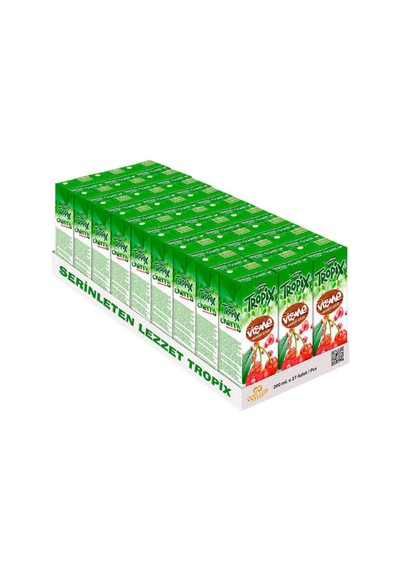 Tropix Meyve Suyu Vişne 200 Ml 27 Adet