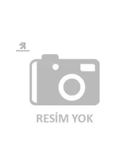 Ön Fren Disk Aynası 207-208-307 Yeni Kod: 1647868480 Peugeot 4249.83/ 1647868480
