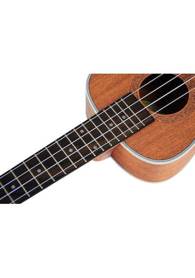Tayste Tuk200-24 Concert Ukulele