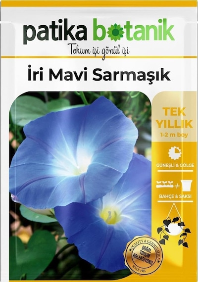 Patika Botanik 30 Adet Iri Mavi Sarmaşık Çiçek Tohumu