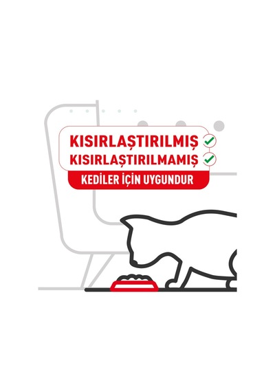 Royal Canin British Shorthair Yaş Kedi Maması 12 Adet X 85 Gr