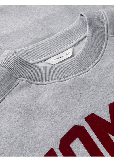 Tommy Hilfiger Varsıty Flock Rlxd Swt Kadın Gri Sweatshirt - Ww0ww51651