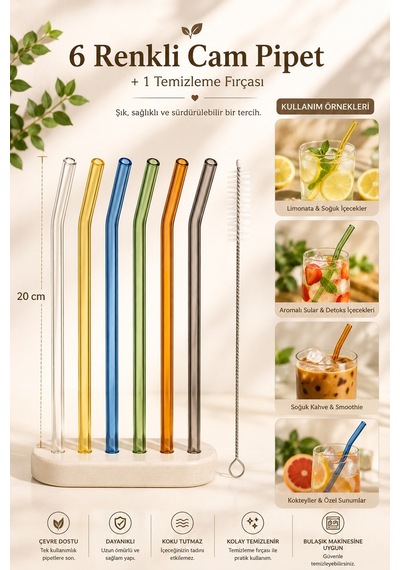 Perotti Straw 6'lı Renkli Cam Eğimli Isıya Dayanıklı Pipet