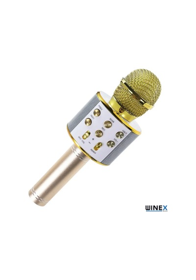 Winex Usbatf Sd Kart+3.5 MM Giriş Bluetooth Karaoke Mikrofonu Gold