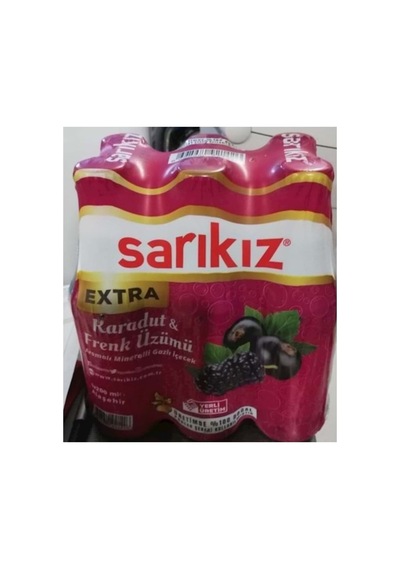 Karadut & Frenk Üzümü Soda 200 Ml 24 Lü