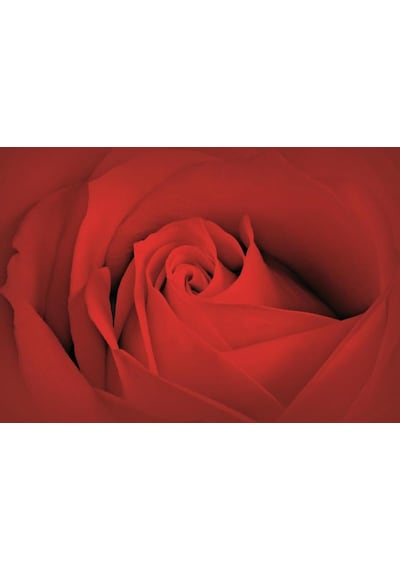 Poster Duvar Kağıdı 560 4 Parça 2.54mt X 1.84mt Renkli