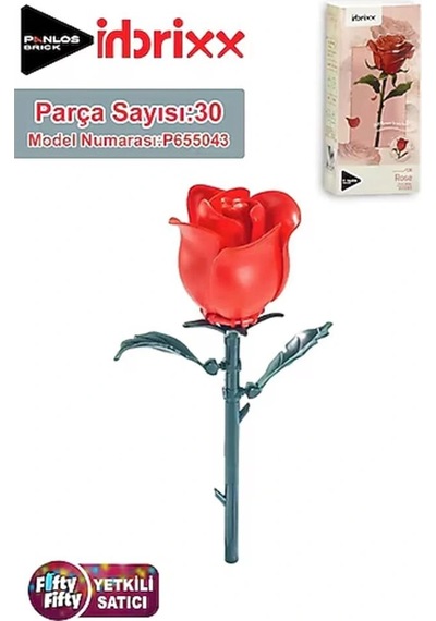 P655043 Panlos Block Oyuncak
