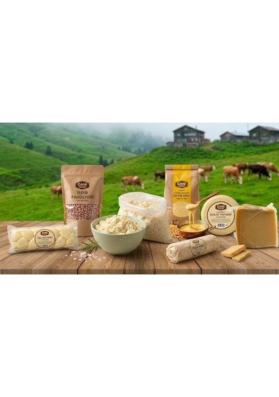 Gani Pazar Lor Peyniri Taze Minci 1 Kg