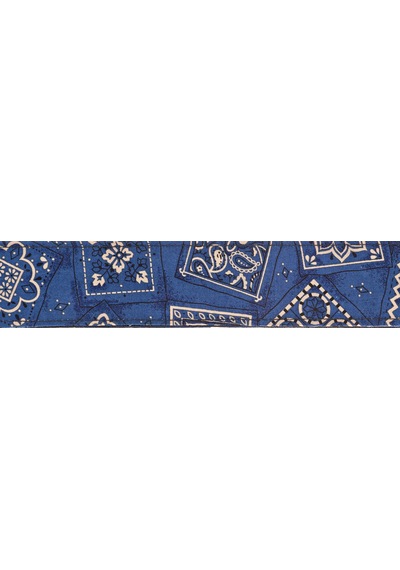 Planetwaves 50g03 Gitar Askısı Dokuma 50mm Mavi Bandana