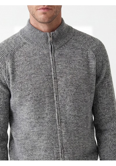 LC Waikiki Lc Waıkıkı Gri Regular Fit Dik Yaka Erkek Triko Hırka