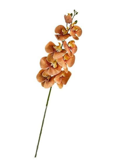 Yapay Çiçek Somon Rengi Islak Orkide Uzun Dal 90 Cm Orkide Çok Renkli