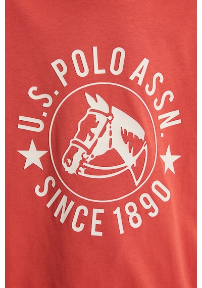 U.s. Polo Assn. Erkek Çocuk Kiremit Tişört 50327009-vr031