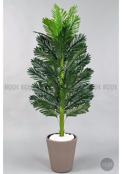 Yapay Areka Ağacı 160-180 Cm Ss