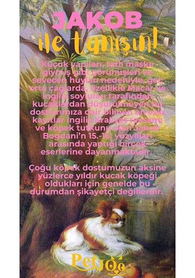 Petjoo 8.Jakob Sarı-Pembe Qr'lı Köpek Künyesi