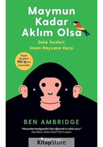 Maymun Kadar Aklım Olsa / Ben Ambridge