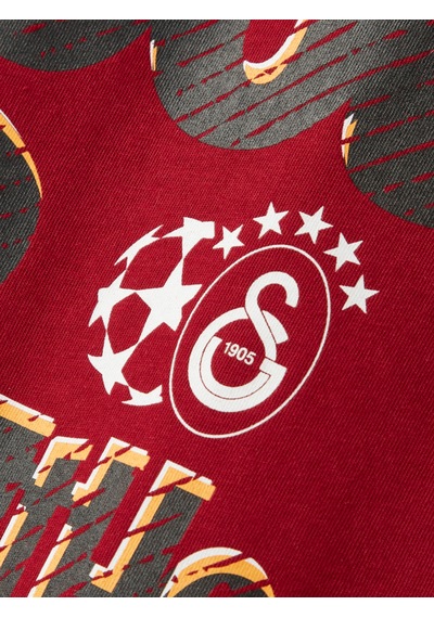 Gsstore Galatasaray Ucl Erkek T-shirt E252215 Bordo