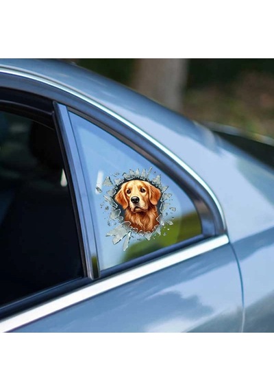 Fulcar Golden Araç Stickerı Diğer
