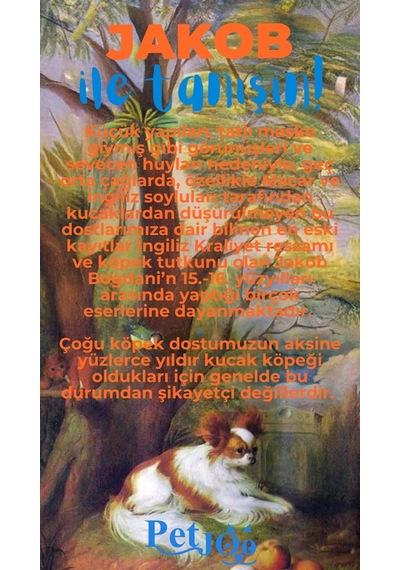 Petjoo 8.Jakob Mavi-Turuncu Qr'lı Köpek Künyesi