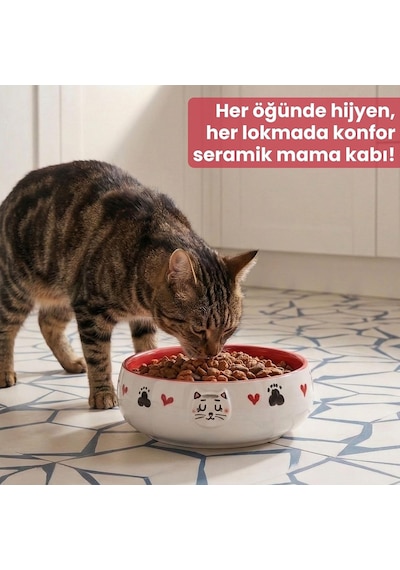 Lüks Seramik Mama Kabı Pati Kedi Köpek Kalp Desen Kabartmalı Doğal Renkli Kedi Ve Köpek Yemek Su Kasesi, Devrilmez Premium Dekoratif Porselen Yapı 1 Adet Tekli Kırmızı