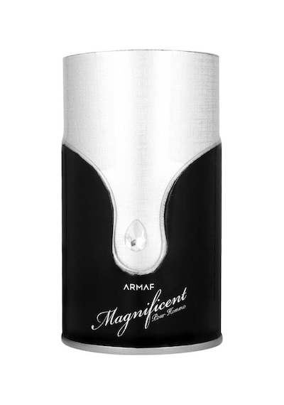 Armaf Magnificent Pour Homme Edp 100 Ml Erkek Parfümü Oryantal