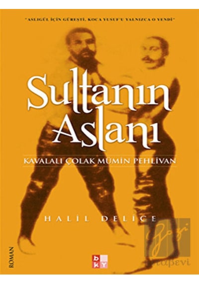 Sultanın Aslanı - Halil Delice - Babıali Kültür