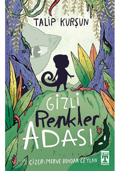 Gizli Renkler Adası / Talip Kurşun