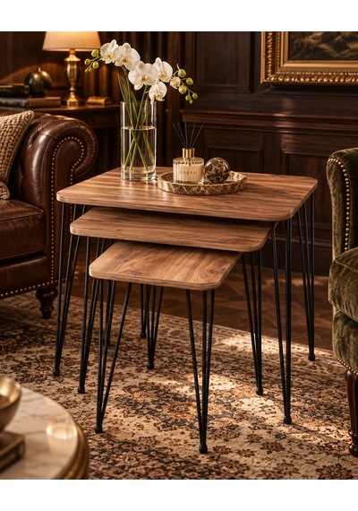 Odera Ceviz Tel Zigon Sehpa 3'lü Set Metal Ayaklı Modern Retro Salon Sehpası Diğer