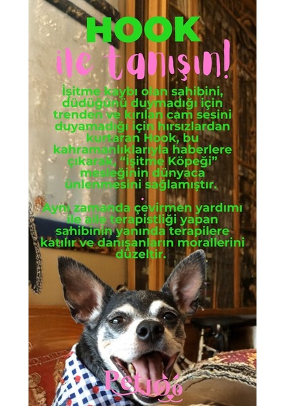 Petjoo 7.Hook Pembe-Yeşil Qr'lı Köpek Künyesi