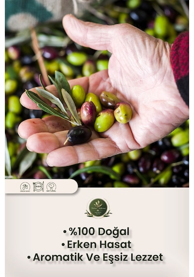 Terra Edessa Olio High Quality Olive Oil Erken Hasat Natürel Sızma Zeytinyağı - 500 Ml - Mezopotamya'nın Bereketli Lezzeti