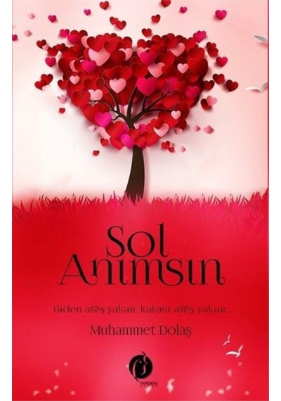 Sol Anımsın - Muhammet Dolaş - Herdem Kitap