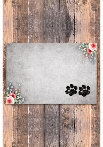 Evaşk  Vinil Kaymaz Tabanlı Keçe Baskılı Evcil Hayvan Pet Mama Paspası 25x40 Renk BEYAZ PM03SB