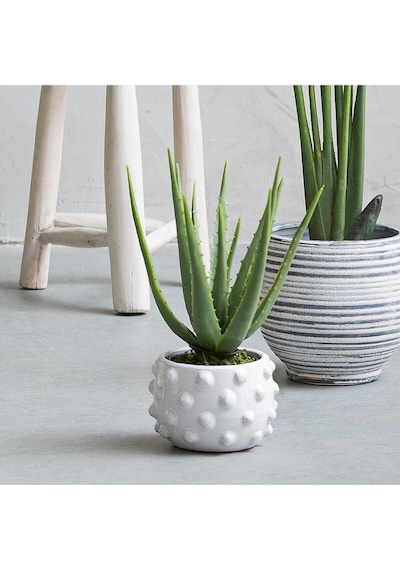 Noktalı Terracotta Saksı & Vazo Çok Renkli