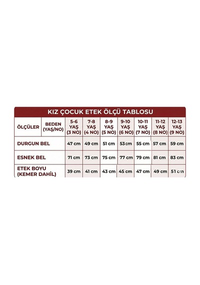 Nacar Store Kız Çocuk 23 Nisan 29 Ekim Gösteri Kıyafeti Kostüm Tütü Etek Kısa Kol Desenli Tshirt Takım-076 Beyaz