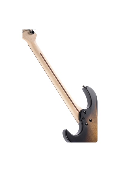 Cort Elektro Gitar G110opsb