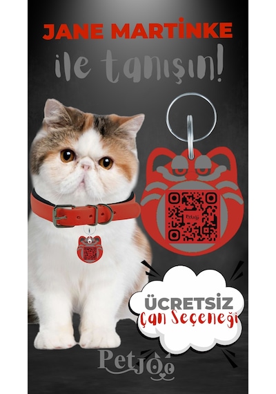 Petjoo 5.Jane Martinke Gri-Kırmızı Qr'lı Kedi Künyesi