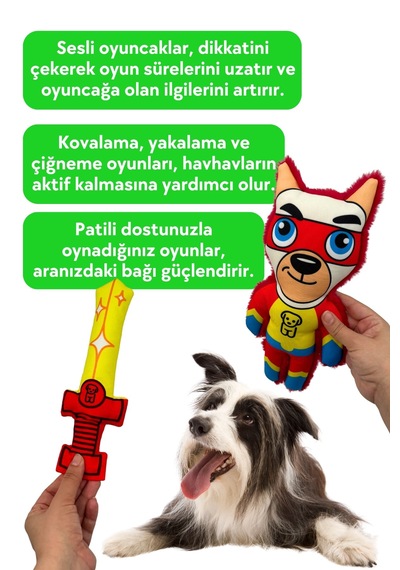 Havhav Havman Köpek Oyuncak Seti