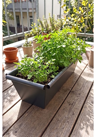 Metal Dikdörtgen Balkon Saksılığı - 53 Cm Paslanmaz Galvaniz Dekoratif Yatay Çiçeklik Antrasit