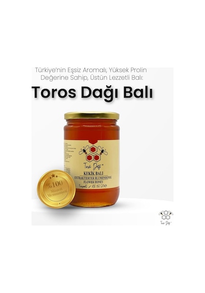 Toros Dağı Kekik Balı 860 G