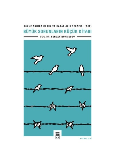 Büyük Sorunlar: Küçük Kitaplarla Çözümler Üretin
