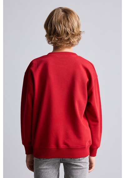 Defacto Bisiklet Yaka İçi Yumuşak Tüylü Basic Sweatshirt Erkek Çocuk I1419a826wnbr244 Kırmızı-br244