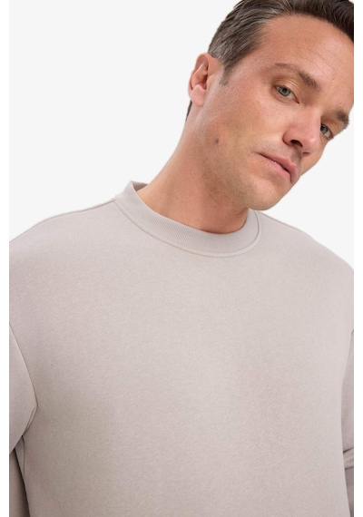 Defacto Relax Fit Bisiklet Yaka Kalın İçi Yumuşak Tüylü Basic Düz Sweatshirt T5139az25augr302 Gri