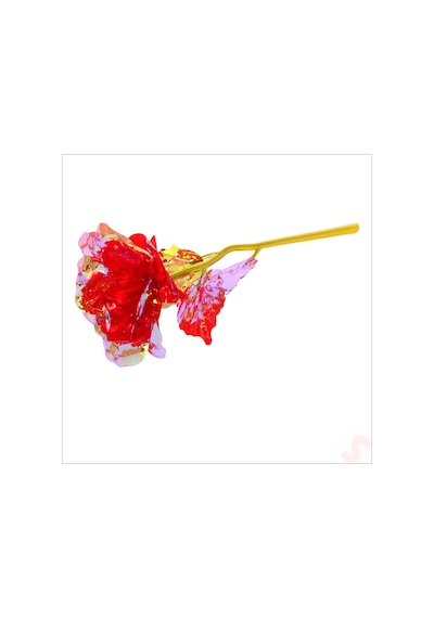 Sonsuzluk Gülü, 25 Cm X 8cm - Kırmızı